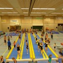 Springdagen 2017 Springdagen 2017